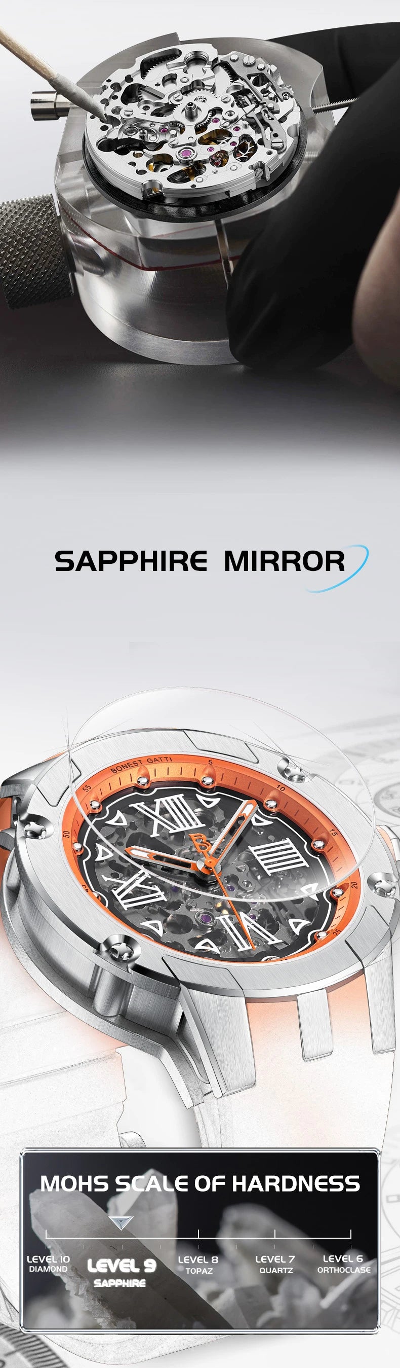 Bonest Gatti - Roma 7701